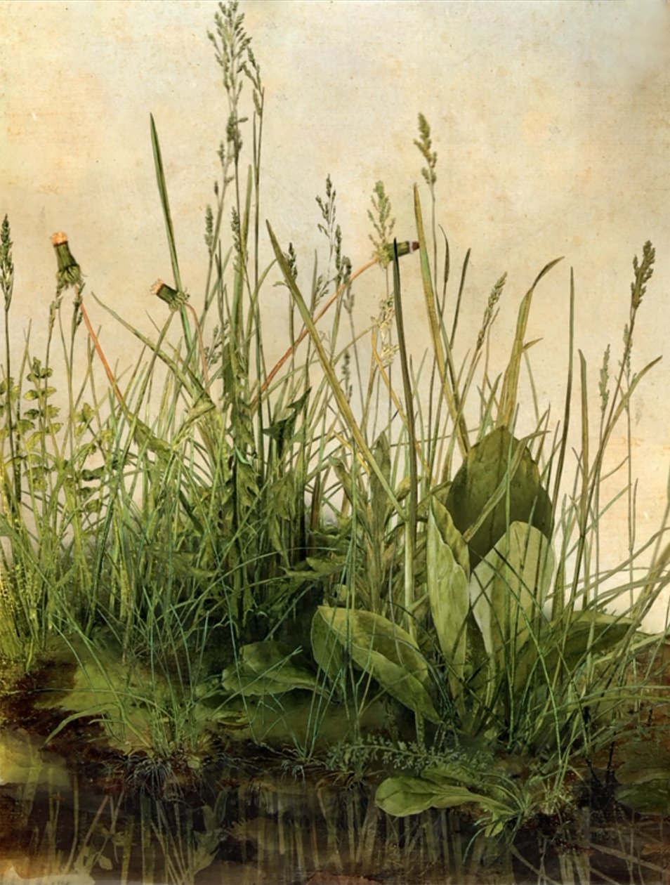 Whispering Weeds, 2011 (Träram, kant, LCD-skärm, fläkt och hårddisk) av Mat Collishaw