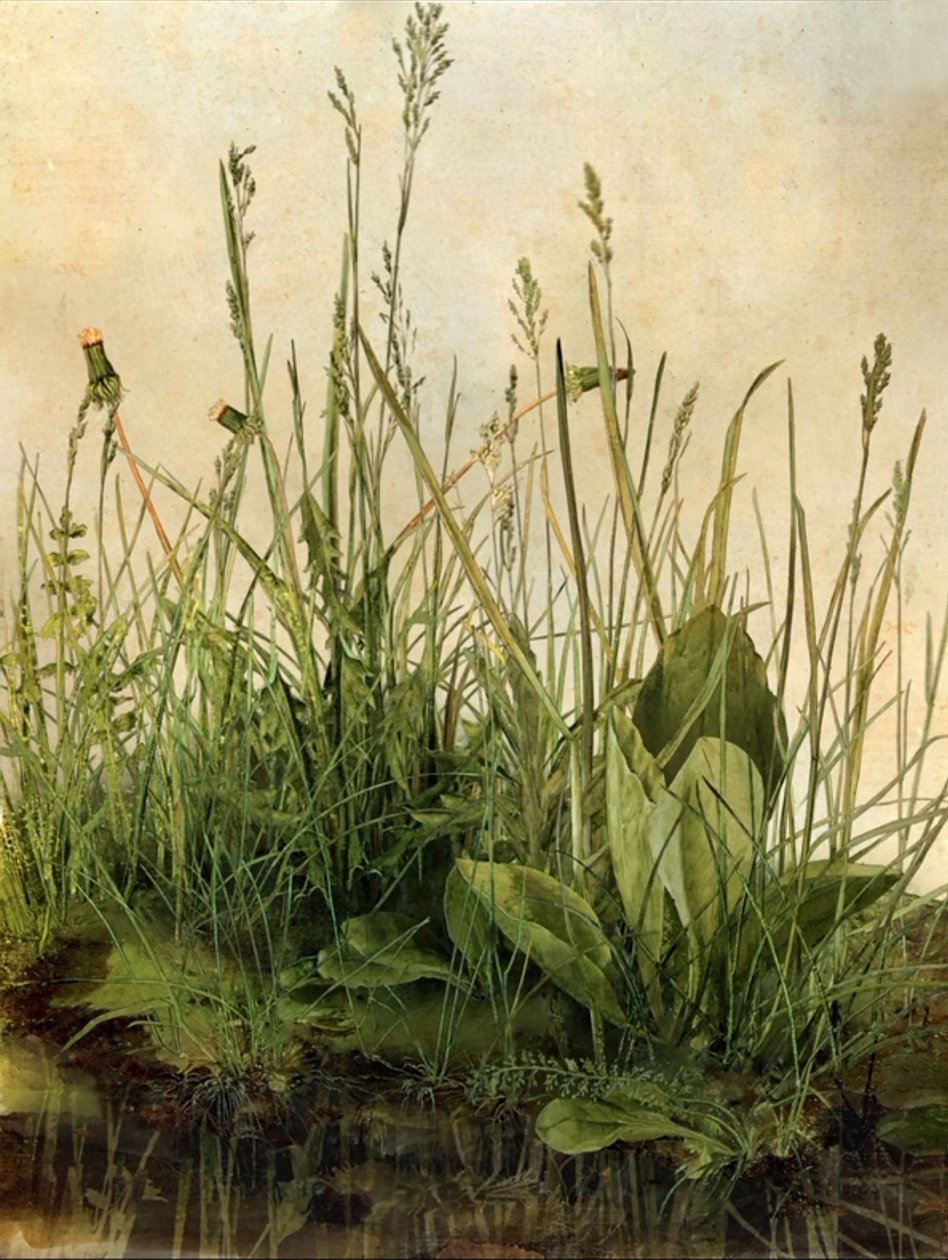 Whispering Weeds, 2011 (Träram, kant, LCD-skärm, fläkt och hårddisk) av Mat Collishaw