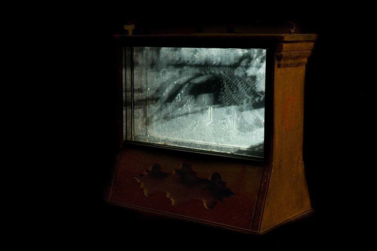 Wormery, 2009 (Trä, glas, stål, projektor och spelare) av Mat Collishaw