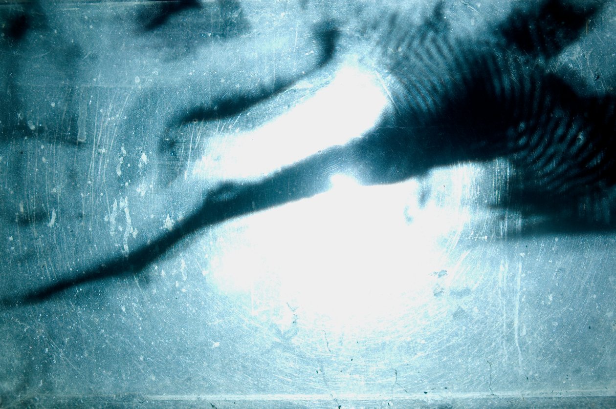 Wormery, 2009 (Trä, glas, stål, projektor och spelare) av Mat Collishaw