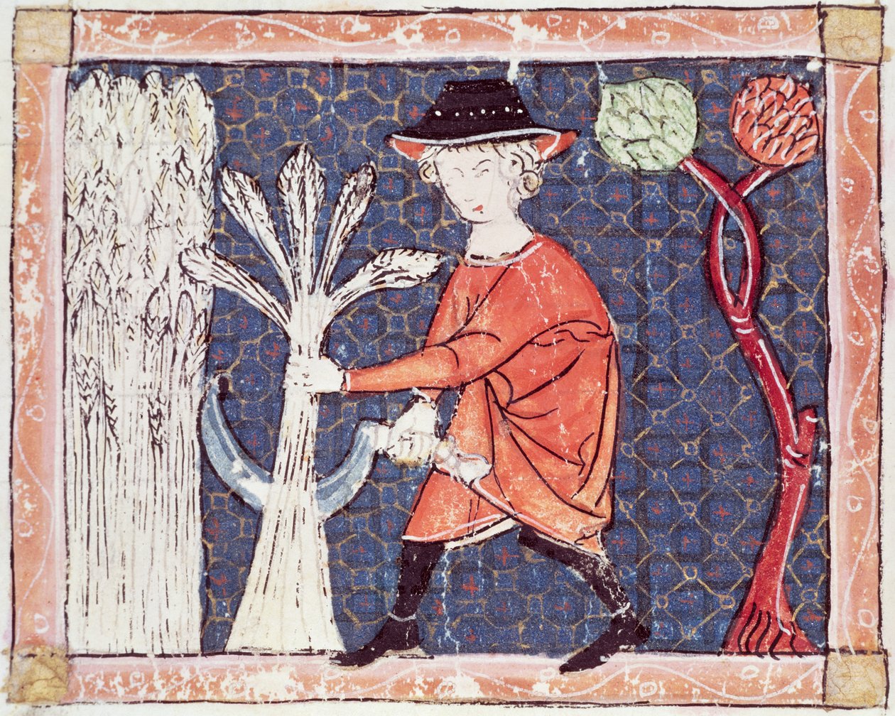 Fol.58v Juli: Skörden av Matfre Ermengaut