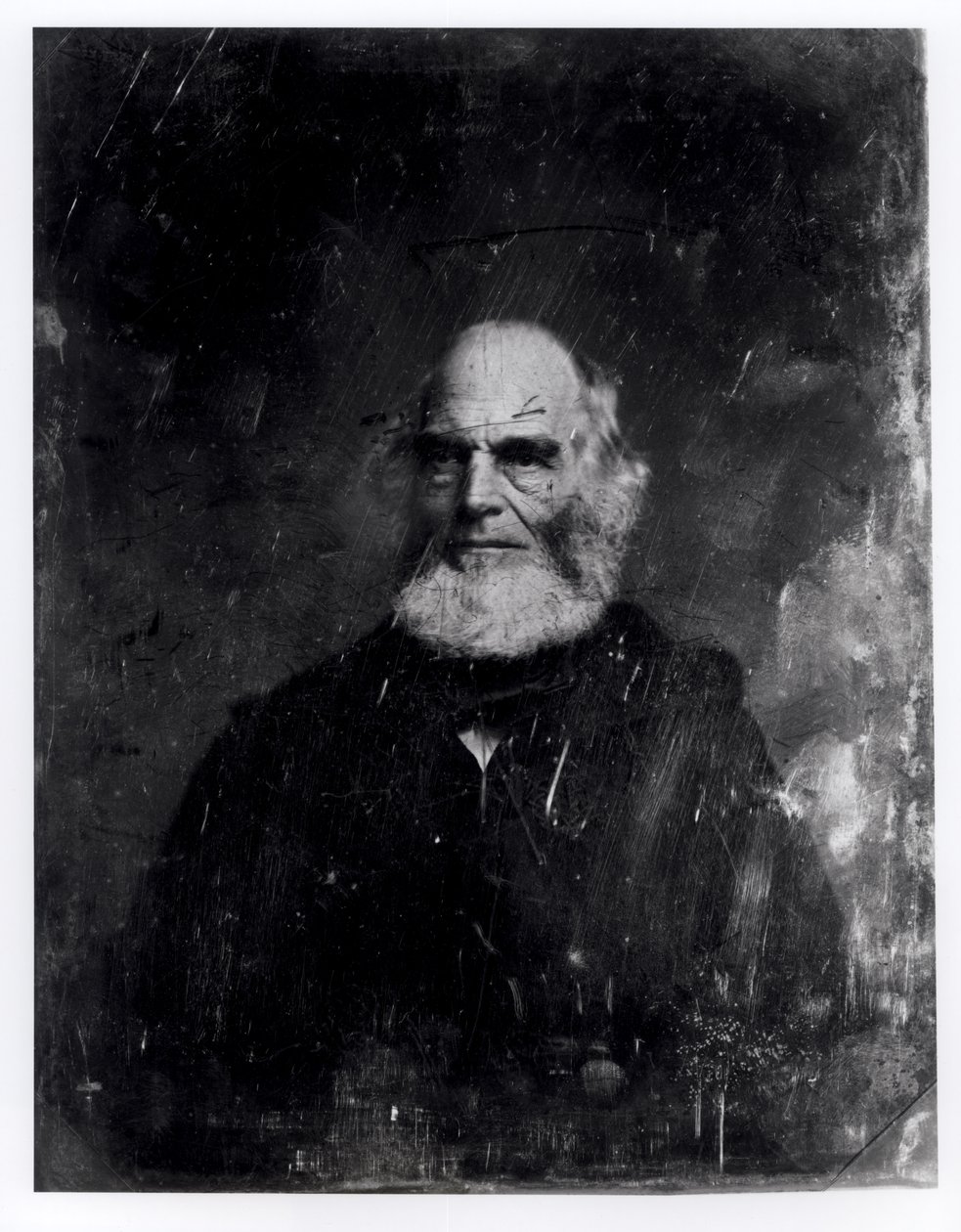 William Cullen Bryant (1794-1878) ca. 1851-60 (daguerreotypi) Sverige av Mathew B. Brady