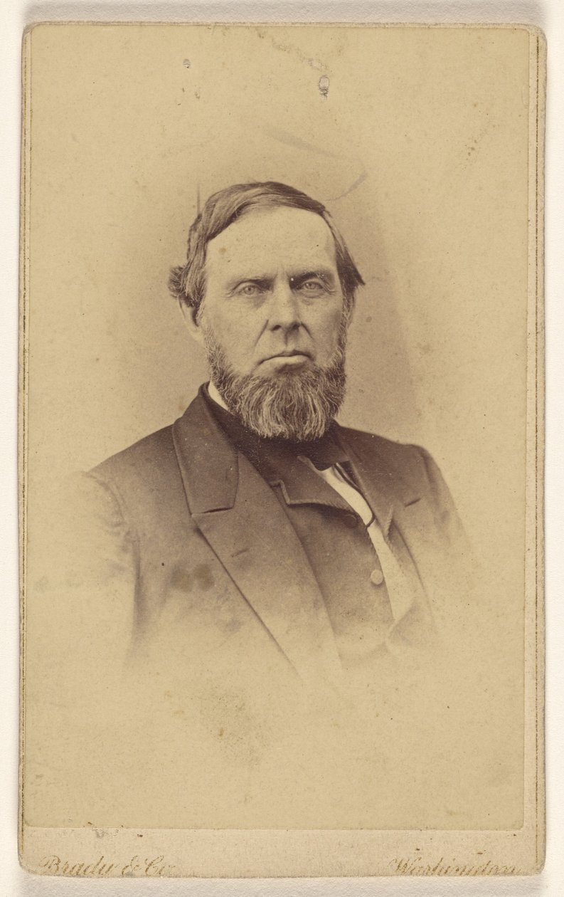[Oidentifierad skäggig man, avbildad i vignettstil] av Mathew B. Brady