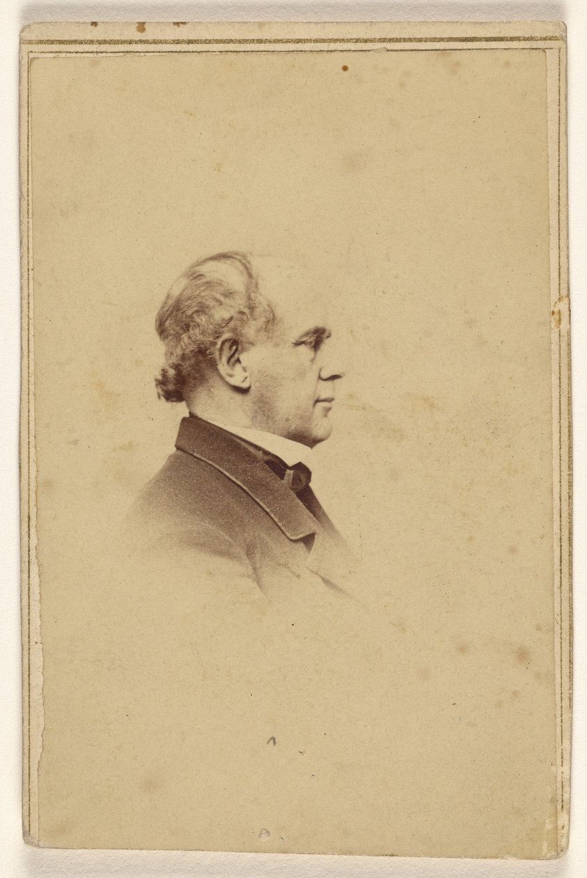 [Oidentifierad man i profil, tryckt i vinjettstil] av Mathew B. Brady