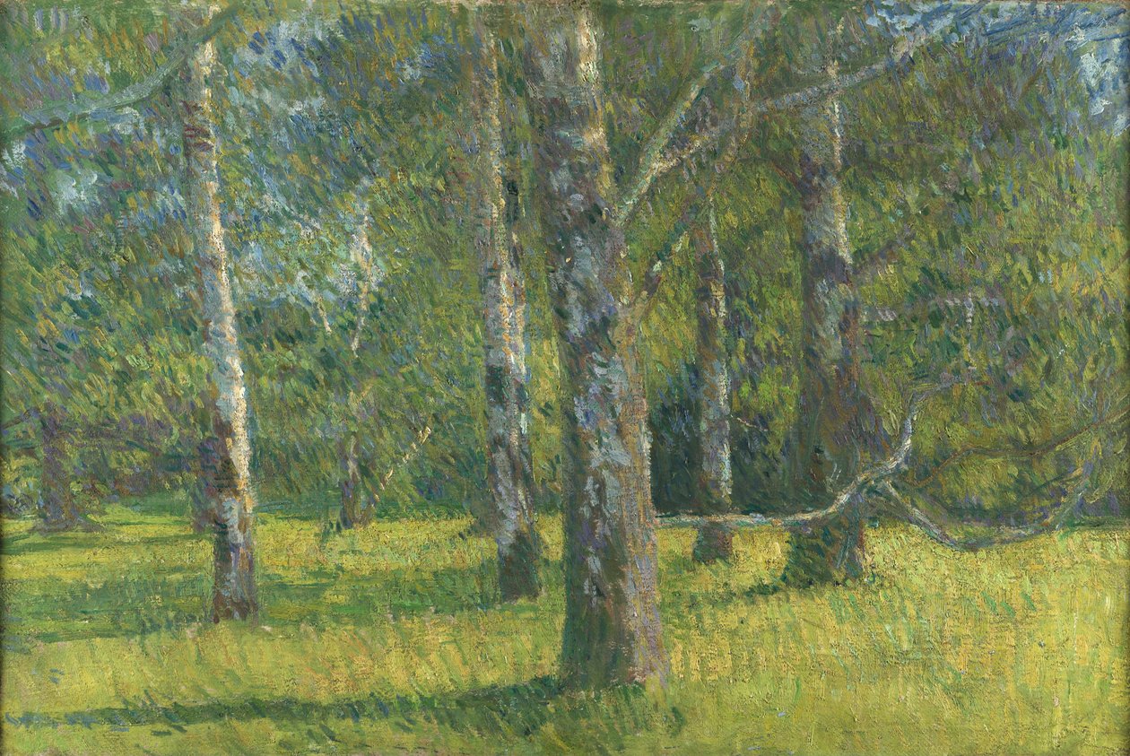 Birches in Laxenburg av Matija Jama