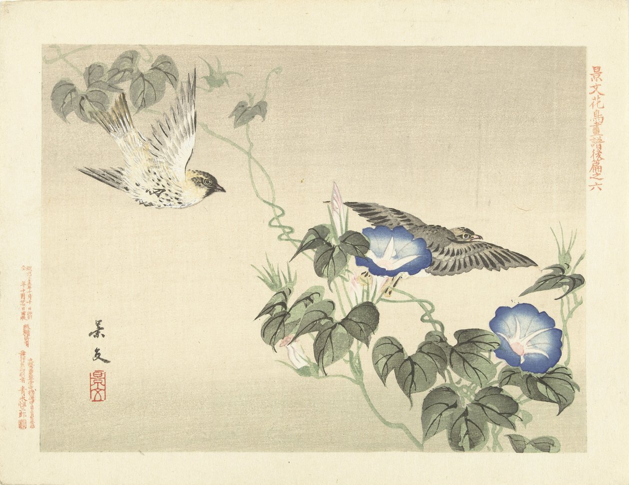 Två fåglar som flyger förbi blå bindweed Blom- och fågelskisser från Keibun - del tre (serietitel) Keibun kacho gafu kohen (serietitel på objekt) av Matsumura Keibun