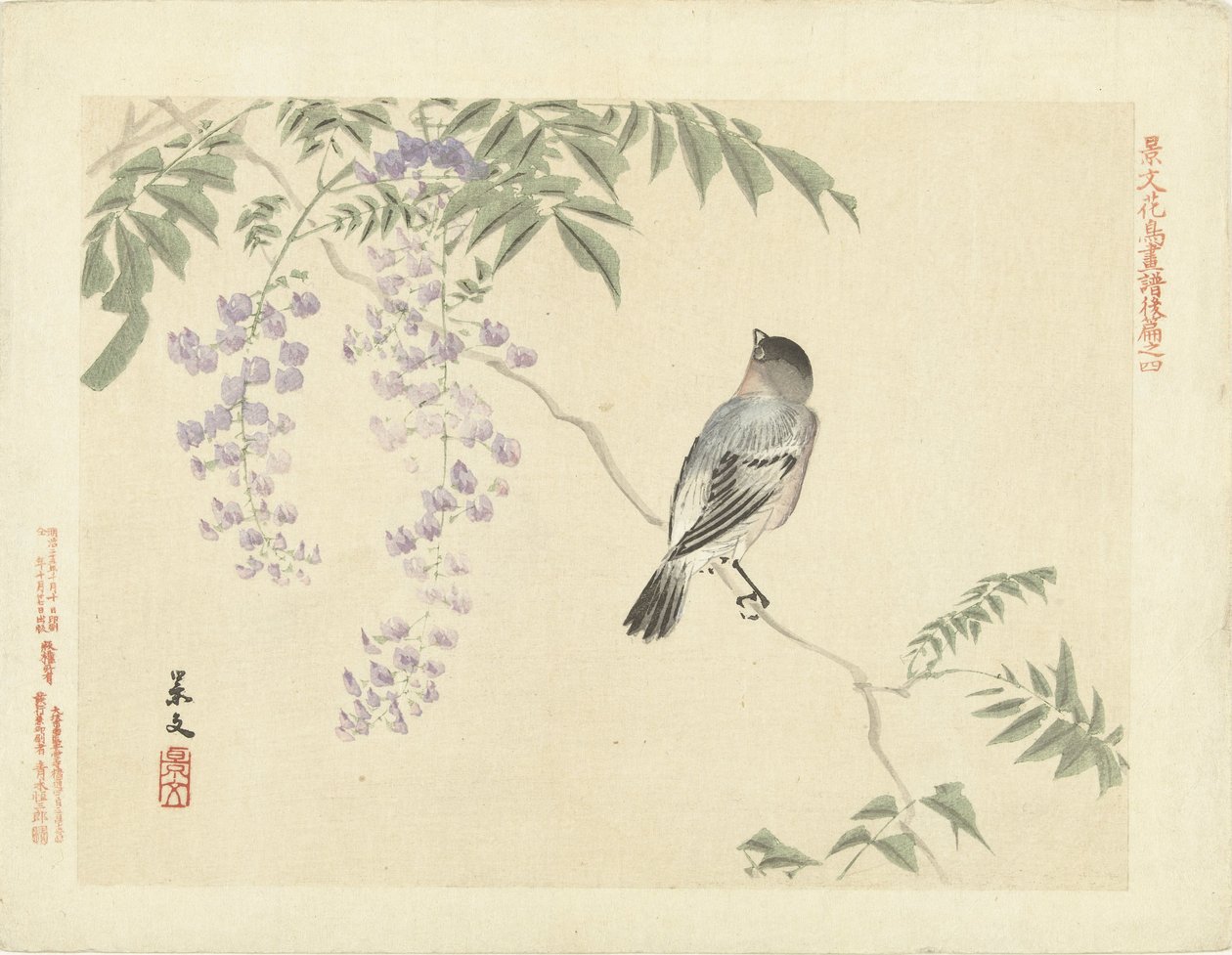 Fågel på blåregn gren Flower and Bird Sketches of Keibun - del tre (serietitel) Keibun kacho gafu kohen (serietitel på objekt) av Matsumura Keibun