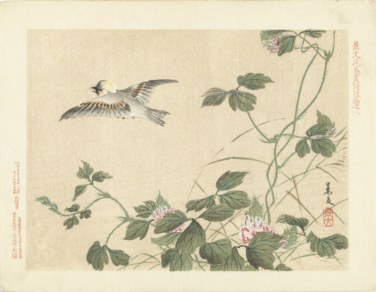 Fågel som flyger iväg på ranka med rosa blommor Flower and Bird Sketches of Keibun - del tre (serietitel) Keibun kacho gafu kohen (serietitel på objekt) av Matsumura Keibun
