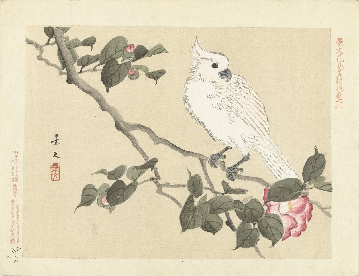 Vit kakadua på kameliagren Flower and Bird Sketches of Keibun - del tre (serietitel) Keibun kacho gafu kohen (serietitel på objekt) av Matsumura Keibun