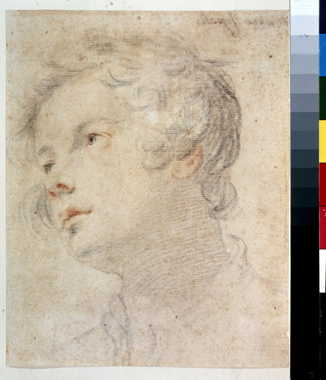 Huvudet av en pojke. Målning av Matteo Rosselli (1578-1650). Krita och röd krita på papper av Matteo Rosselli