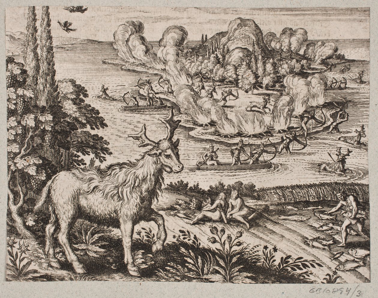Här kan jag inte låta bli att tänka på den särskilt underbara varelse som de infödda kallar Mosse av Matthäus Merian d.Æ.