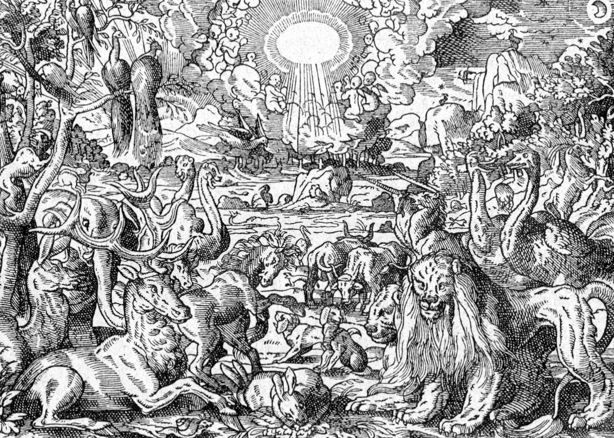 Paradiset av Matthaus the Elder Merian