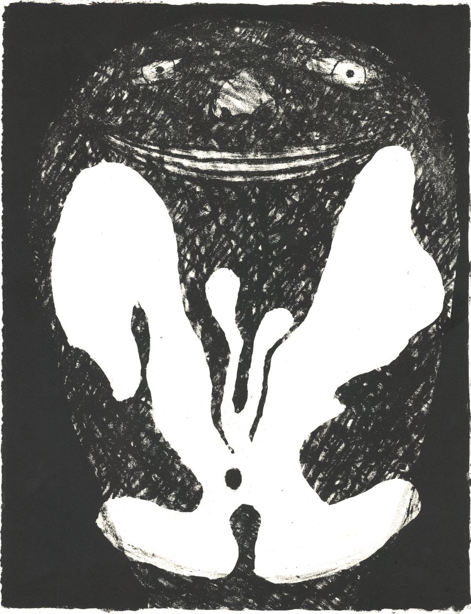Des Bêtes" Artist Book 1, 2018 (litografi) av Matthew Hilton