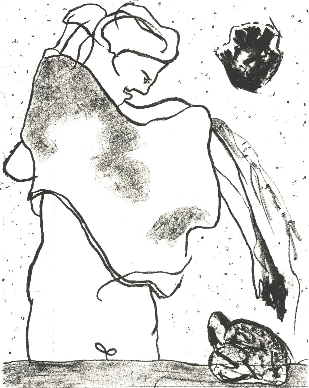 Des Bêtes" Artist Book 2, 2018 (litografi) av Matthew Hilton