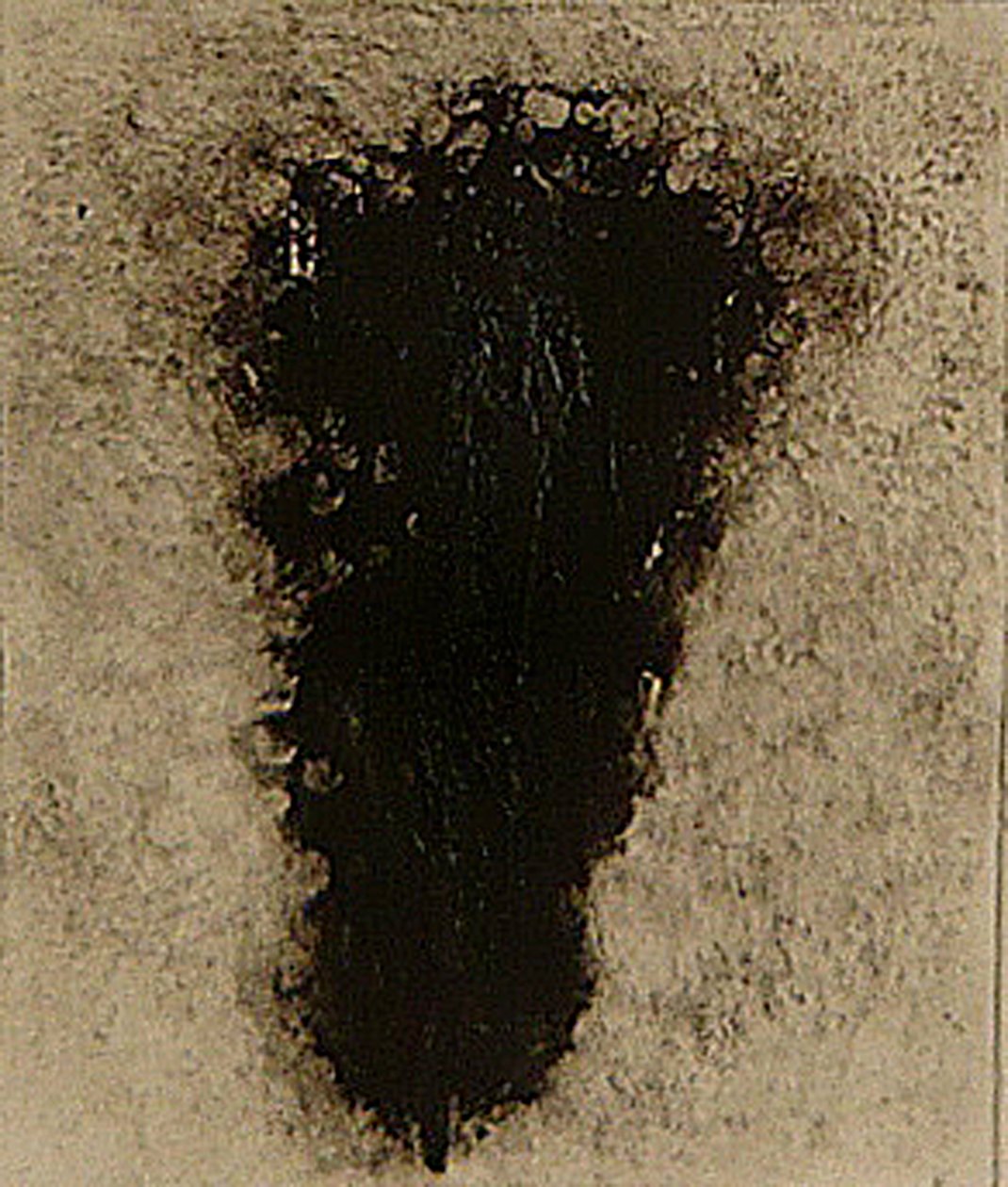 ossie, 2009 (helioprint) av Matthew Hilton