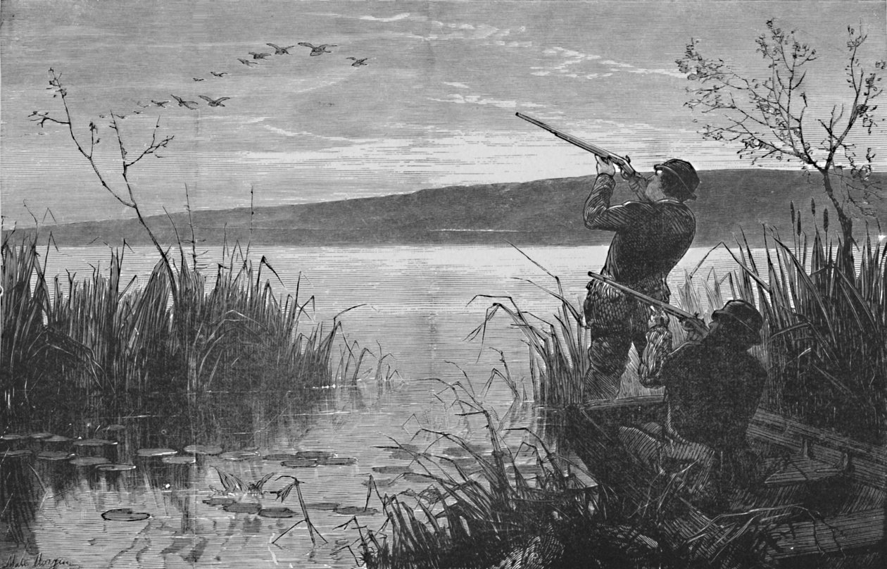 Ankskytte på Saratogasjön, 1973, 1883 av Matthew Somerville Morgan