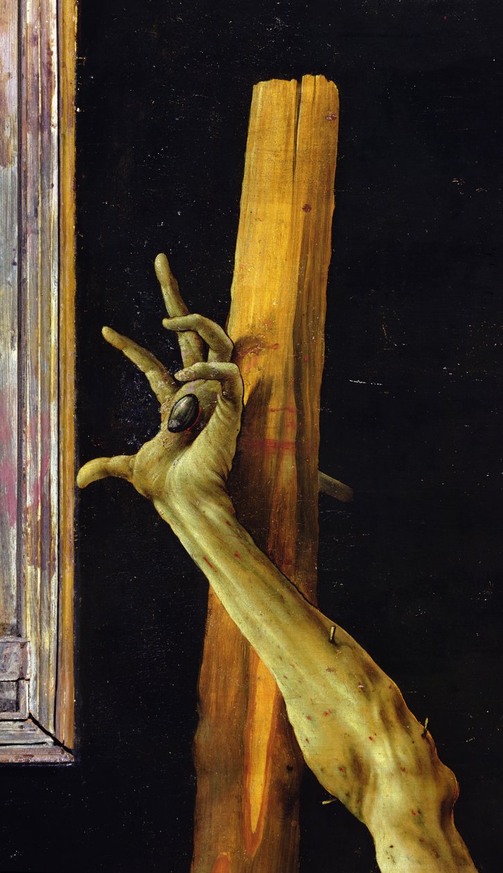 Isenheim altartavla, stängd detalj av Kristi vänstra hand, ca 1512-16 olja på panel av Matthias Grünewald
