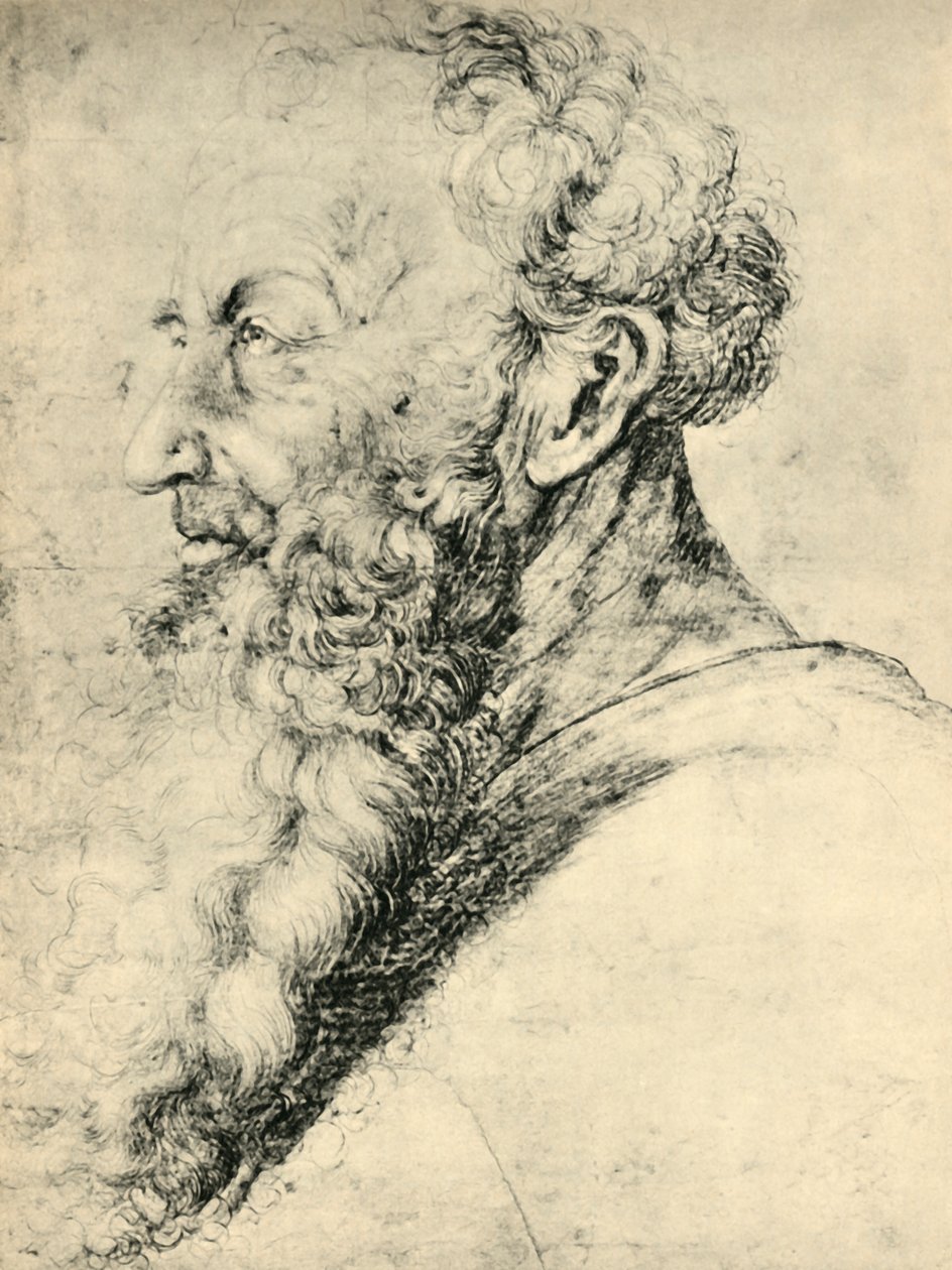 Porträtt av Guido Guersi, 1513-1515, 1943. av Matthias Gruenewald