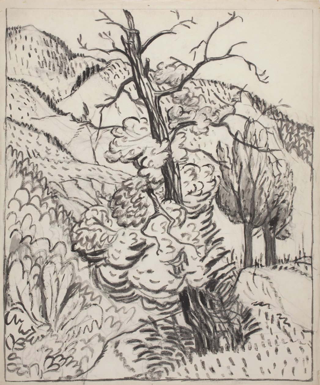 Träd på bergssluttning, ca 1930 (pensel, bläck  kol på benvitt papper) av Maud Hunt Squire