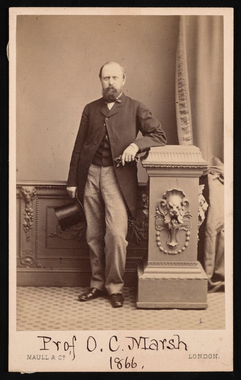 Porträtt av Othniel Charles Marsh 1831-1879, 1866. av Maull and Co