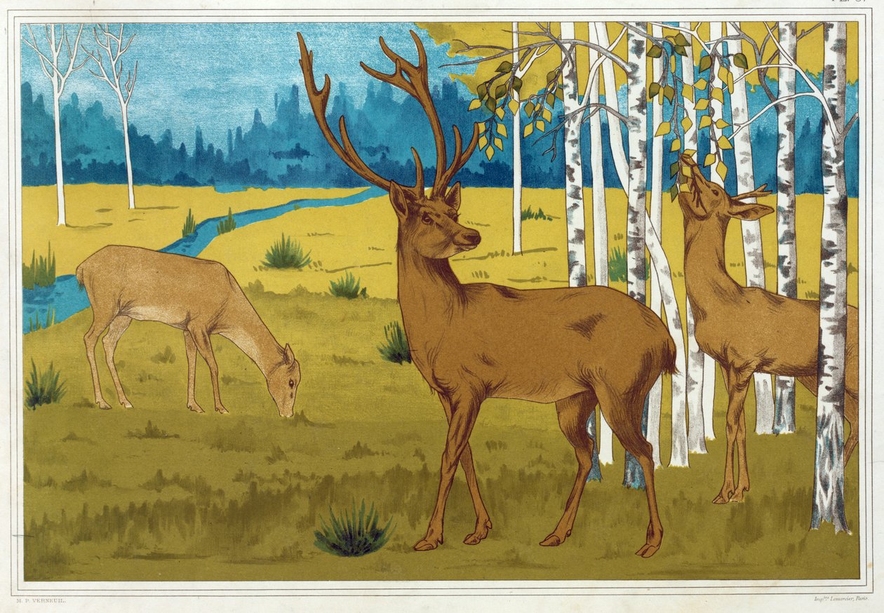 Hjortar, från "Djuret i dekorationen", pub. 1897. av Maurice Pillard Verneuil