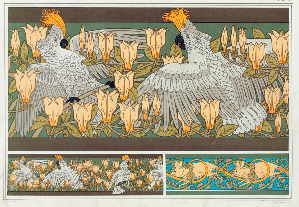 Design för tapetborder Kakadua och Magnolia, pub. 1897. av Maurice Pillard Verneuil