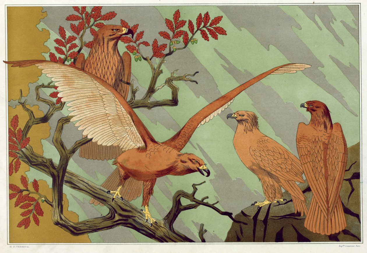 Örnar, från "Djuret i dekorationen" av Maurice Pillard Verneuil, pub. 1897 (färglitografi) av Maurice Pillard Verneuil
