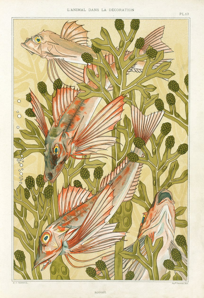 Red Mullet, från "L