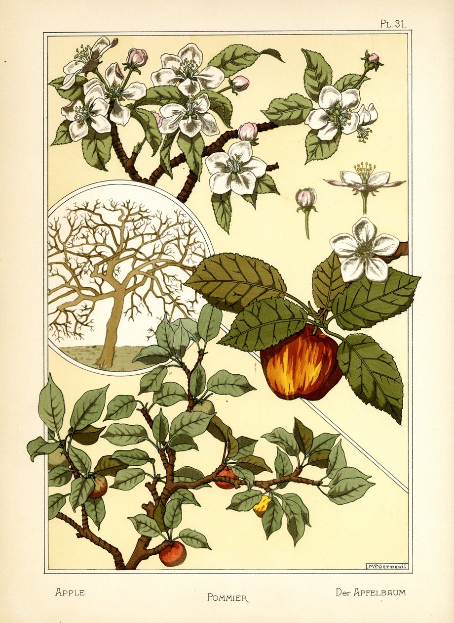 Äppelträdet (färg litho) av Maurice Pillard Verneuil