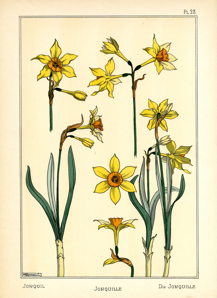 The Jonquil (färg litho) av Maurice Pillard Verneuil