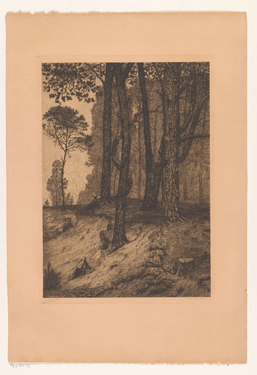 skogsbrynet av Maurits van der Valk (signed by artist)