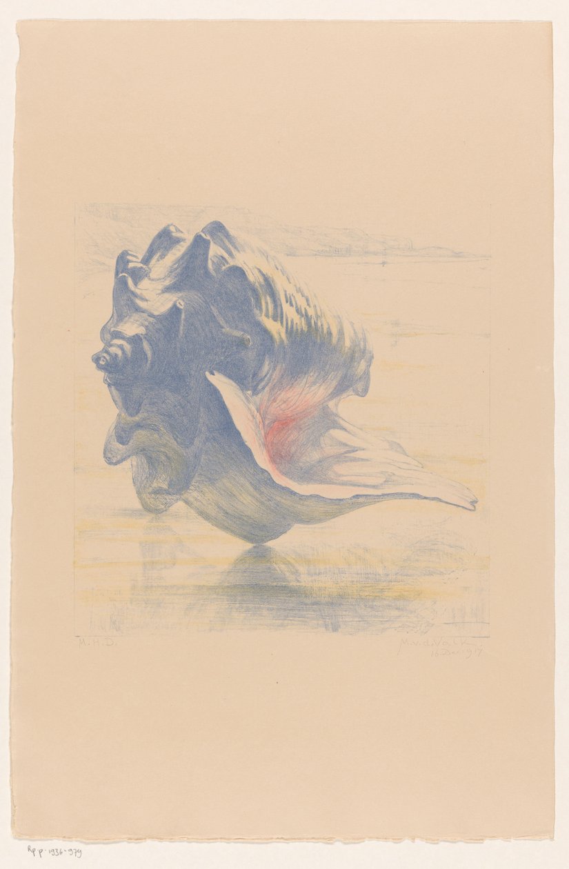 Skal av Maurits van der Valk (signed by artist)