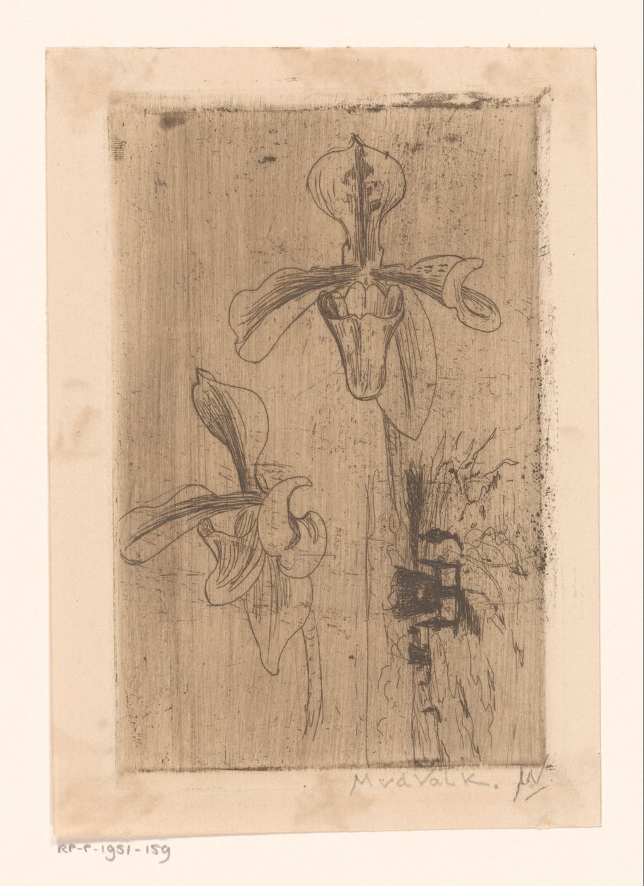 Två orkidéer och en vagn på stranden av Maurits van der Valk (signed by artist)