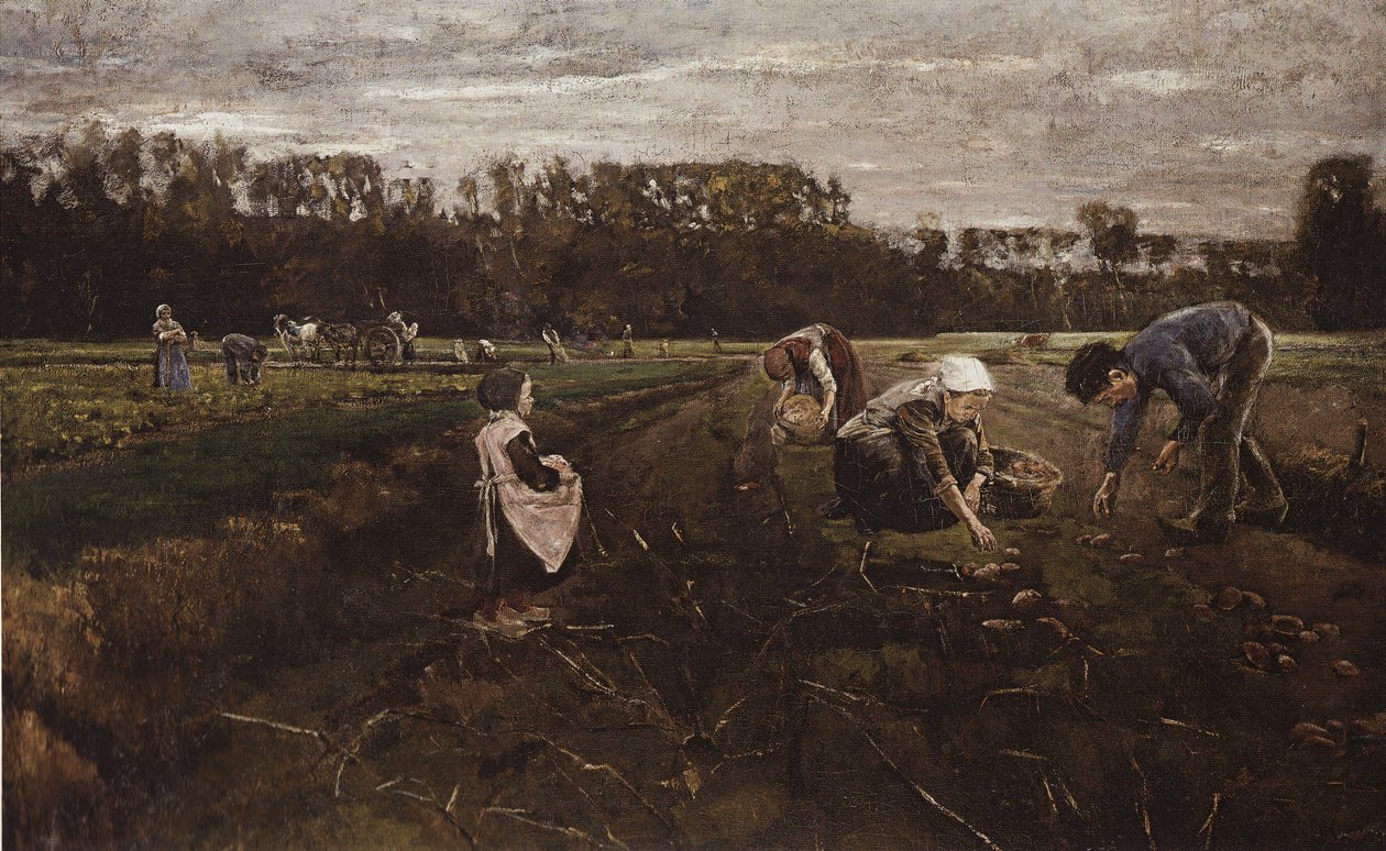 Kartoffelernte von Barbizon av Max Liebermann