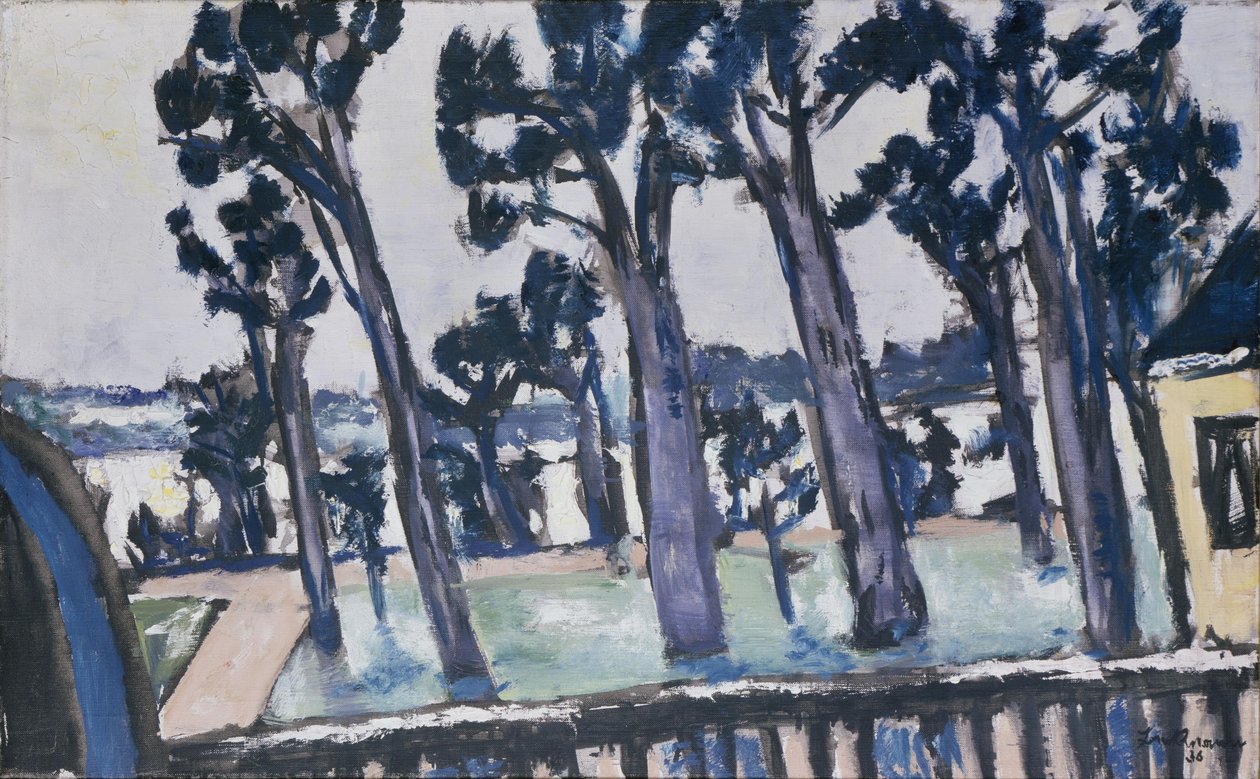 Utsikt över Havel från Rupenhorn av Max Beckmann