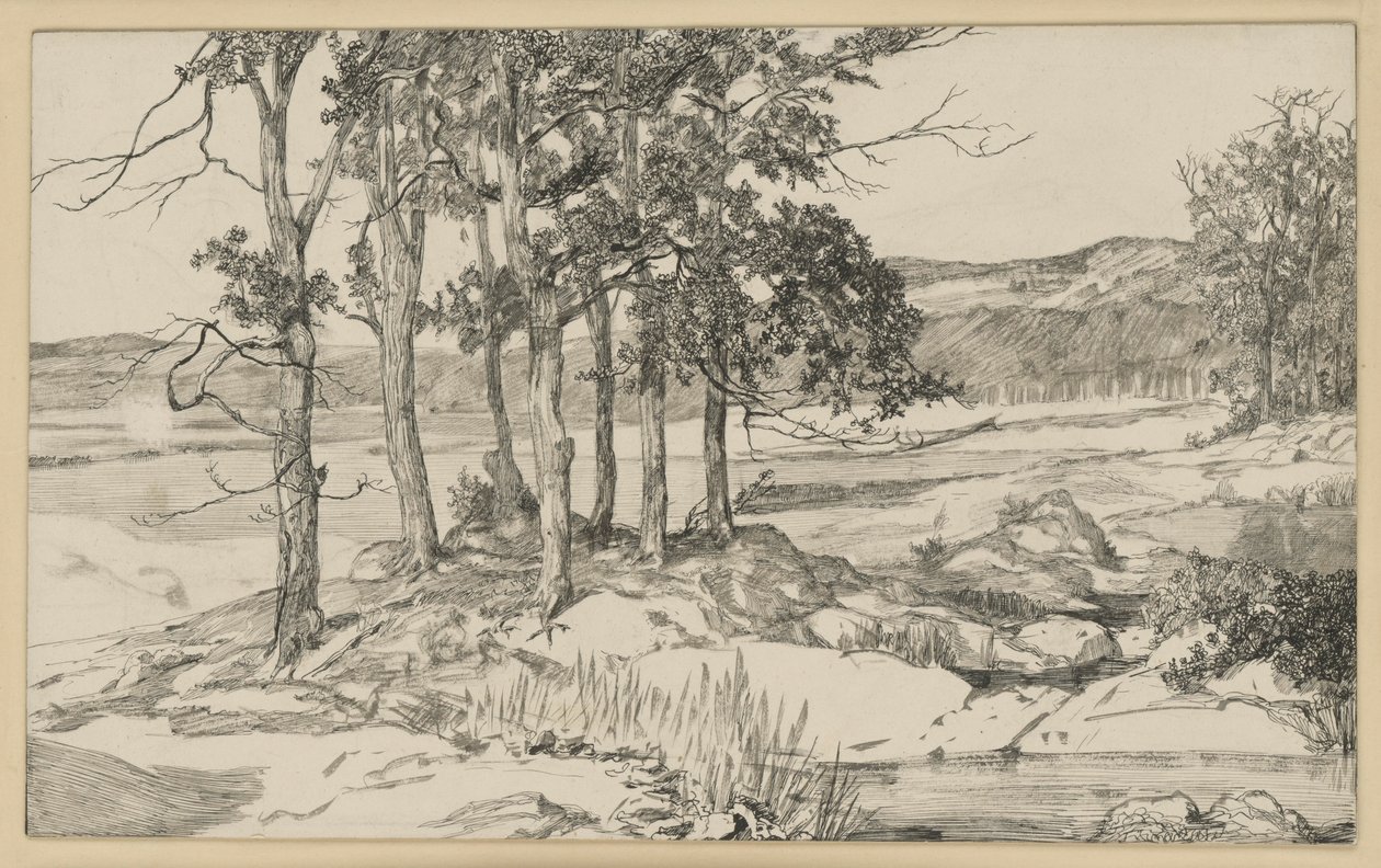 Landskap med tallskog och damm av Max Klinger