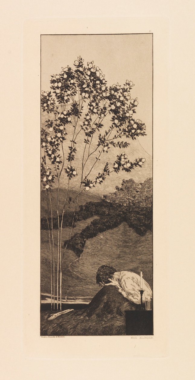 Opus VI, från Paraphrase on the Finding of a Glove, 1881. av Max Klinger