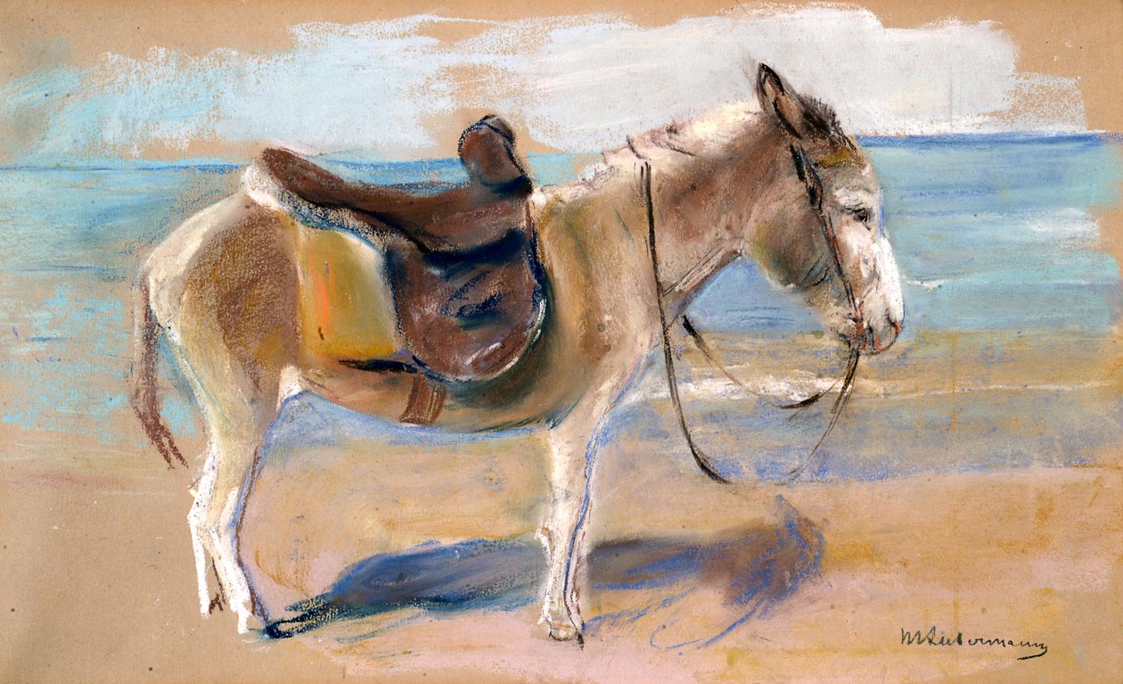 Åsnan på stranden i Noordwijk, 1908. av Max Liebermann