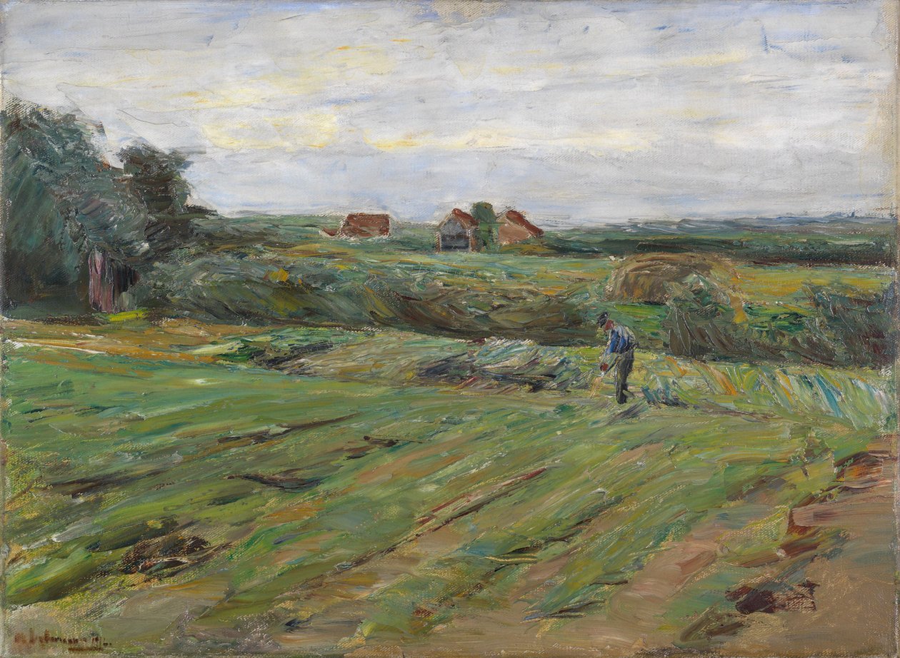 Skördefält av Max Liebermann