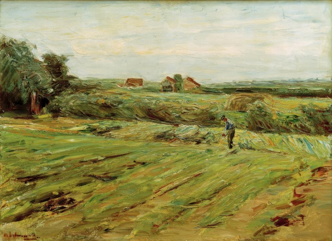 Skördefält - kålfält (?) av Max Liebermann