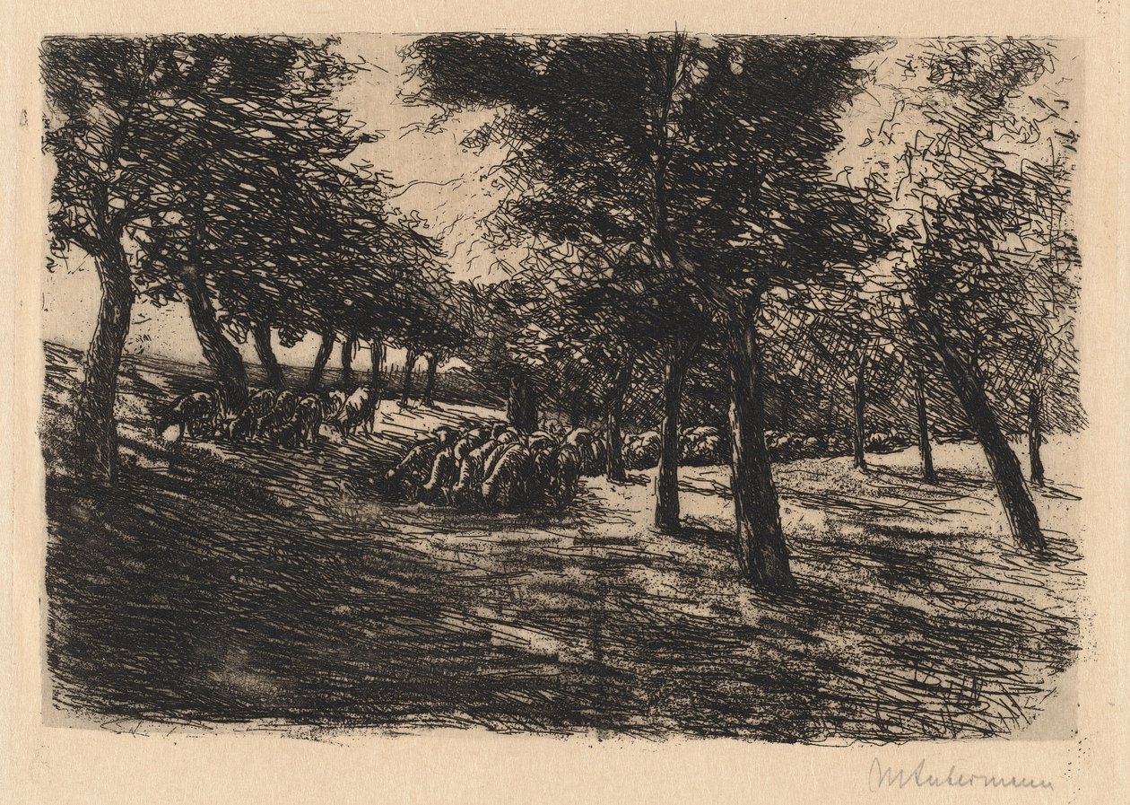Flock av får under träd av Max Liebermann