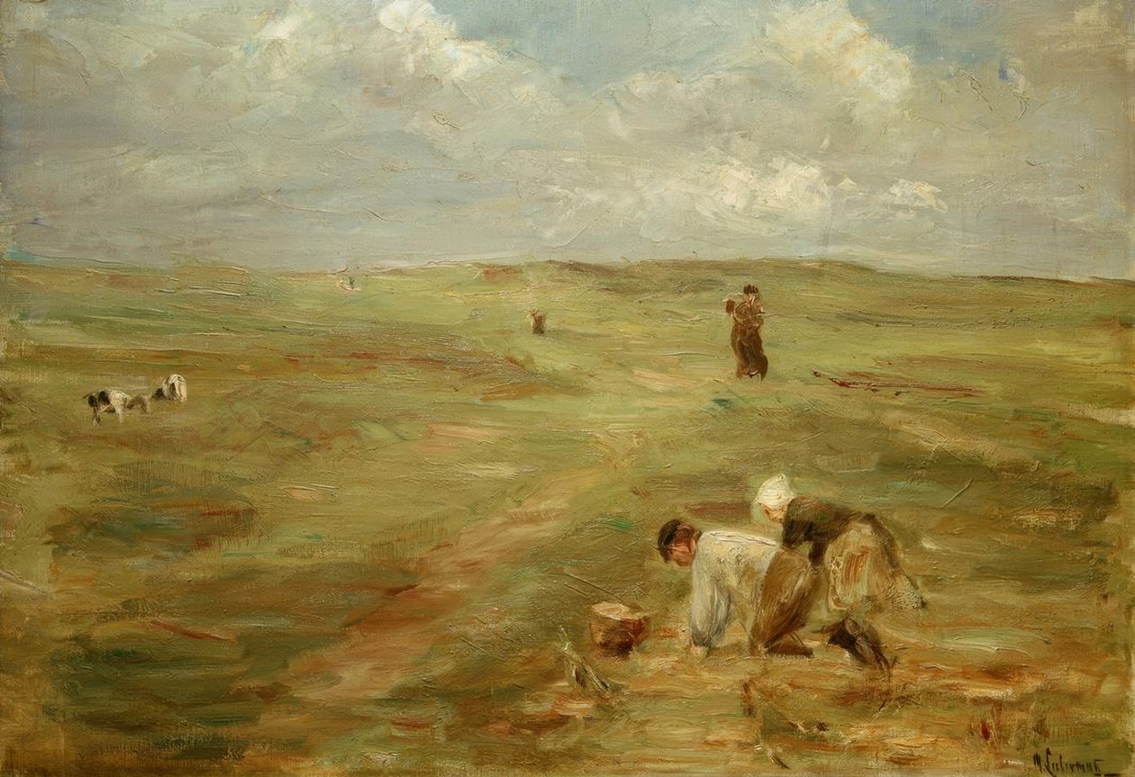 Potatisgrävare i sanddynerna i Zandvoort av Max Liebermann