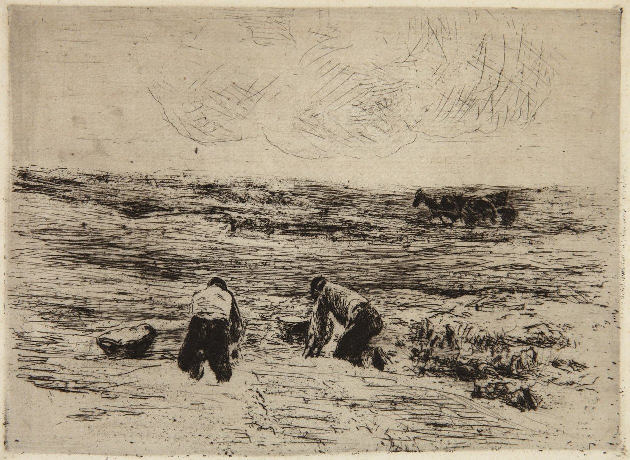 Potatisodlarna av Max Liebermann