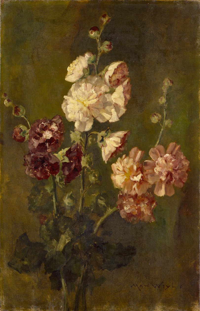 Stockrosor av Max Weyl