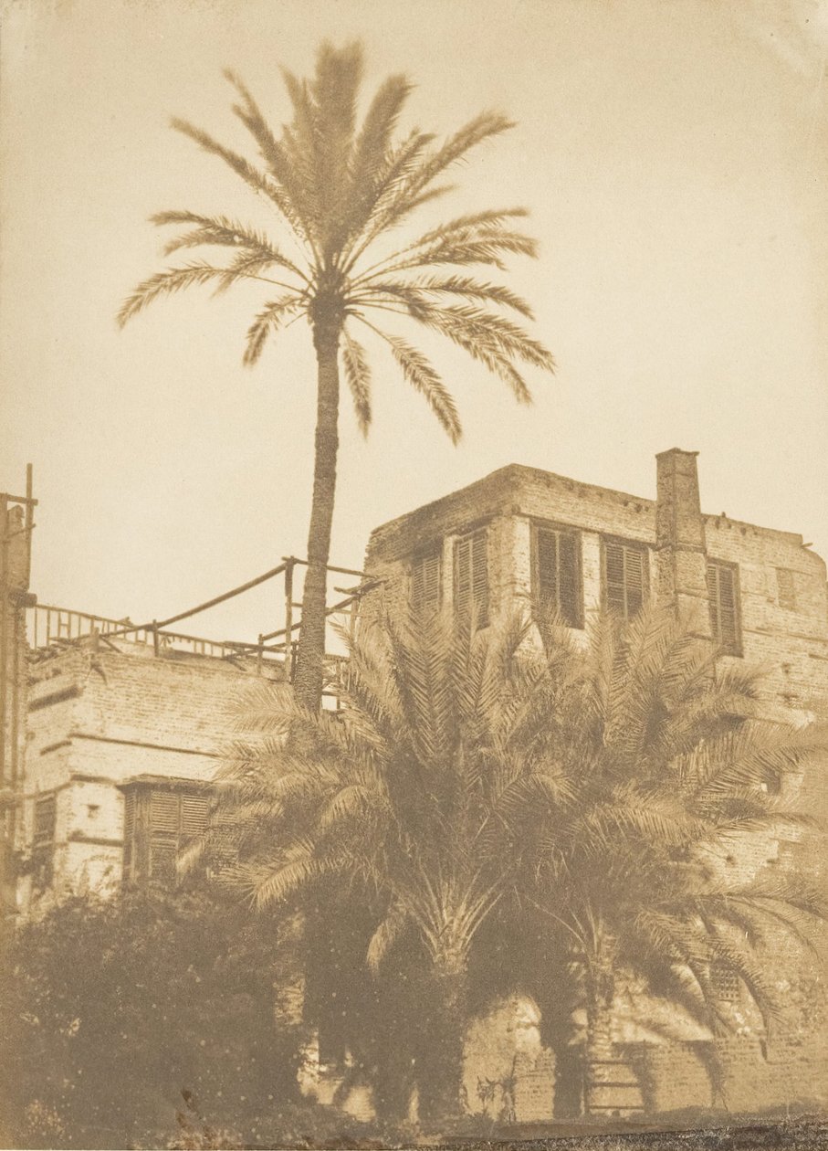 Dadelpalmer och Maison du Quartier Franc, Kairo, december 1849-januari 1850. av Maxime Du Camp