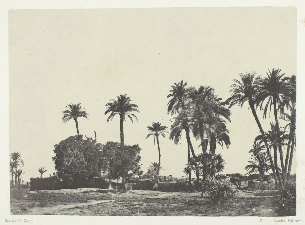 Byn Hamameh, övre Egypten, 184951, tryckt 1852. av Maxime Du Camp