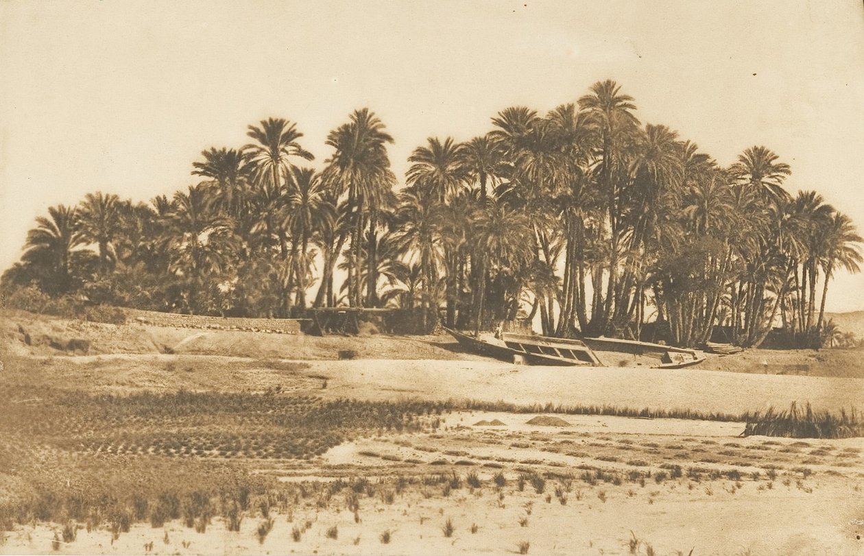 Utsikt över Elephantine Island, mitt emot Aswan, 1849-50. av Maxime Du Camp