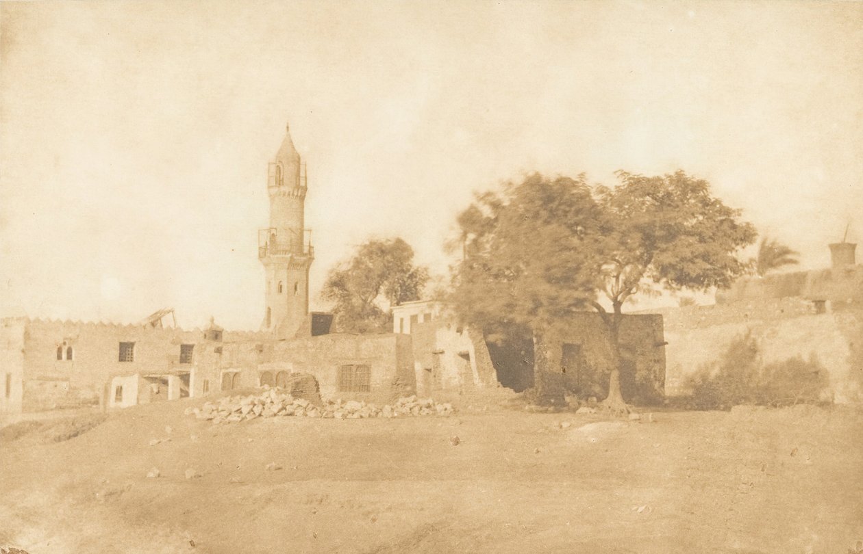 Utsikten tagen vid Béni-Souef, 1850. av Maxime Du Camp