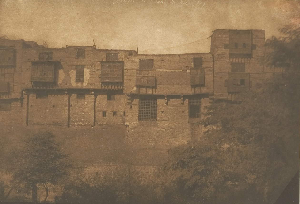 Vy tagen från en Jardin du Quartier Franc, i Kairo, december 1849-januari 1850. av Maxime Du Camp