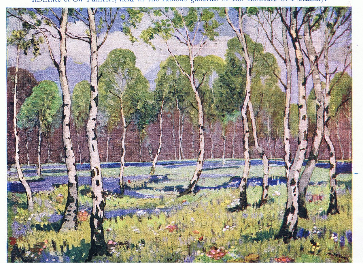 Spring Woodland (färg litho) av May Wilson Preston